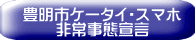 LsE 펖Ԑ錾